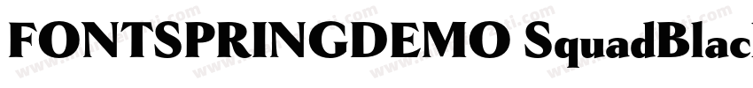 FONTSPRINGDEMO SquadBlackRegular字体转换